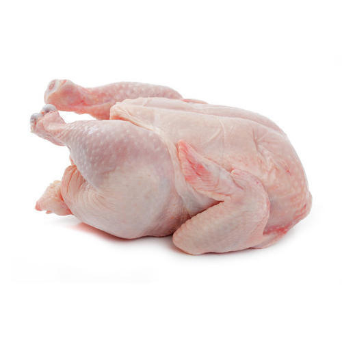 Chilled Whole Chicken(Whole)
