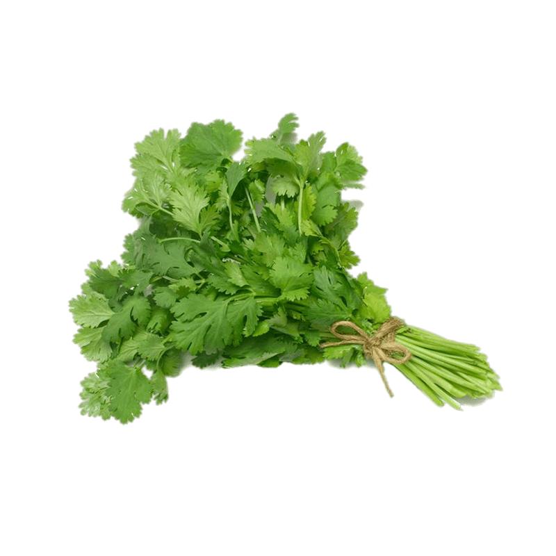 Coriander leaves 1 bunch