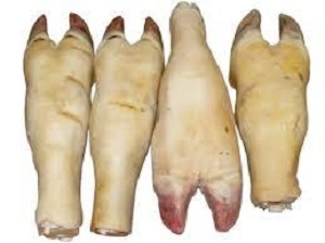 Frozen Australian Beef Feet