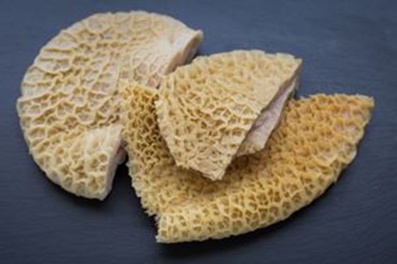 Frozen Beef Honeycomb Tripe