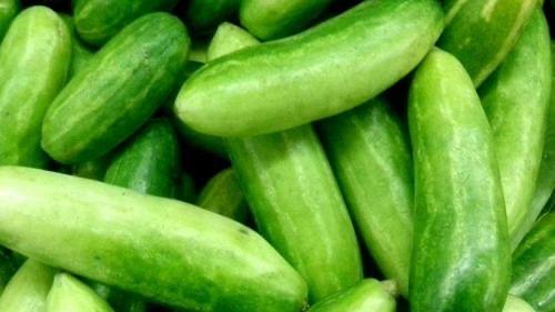 Ivy Gourd/Kundru/Parwal 1 pkt